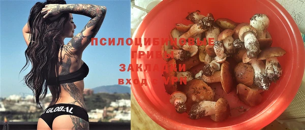 jwh Богородицк