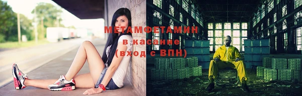 индика Богородск
